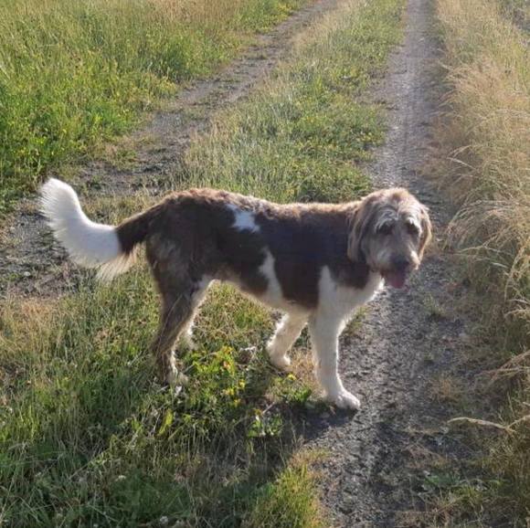 Meet your Posher, Angel - Picture 1 of 1